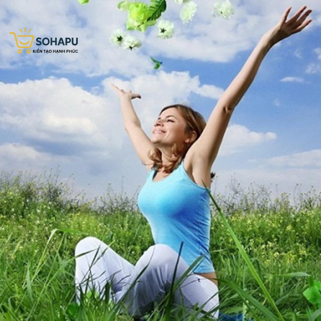 Giới thiệu SOHAPU