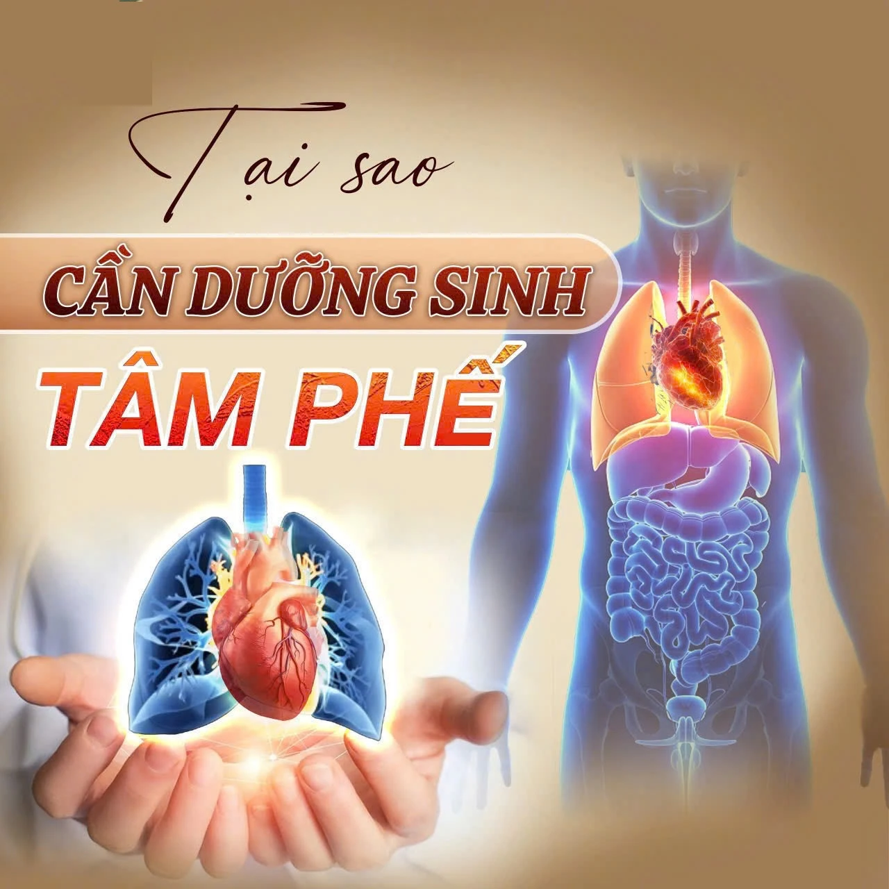 Tại sao phải dưỡng sinh tâm – phế?