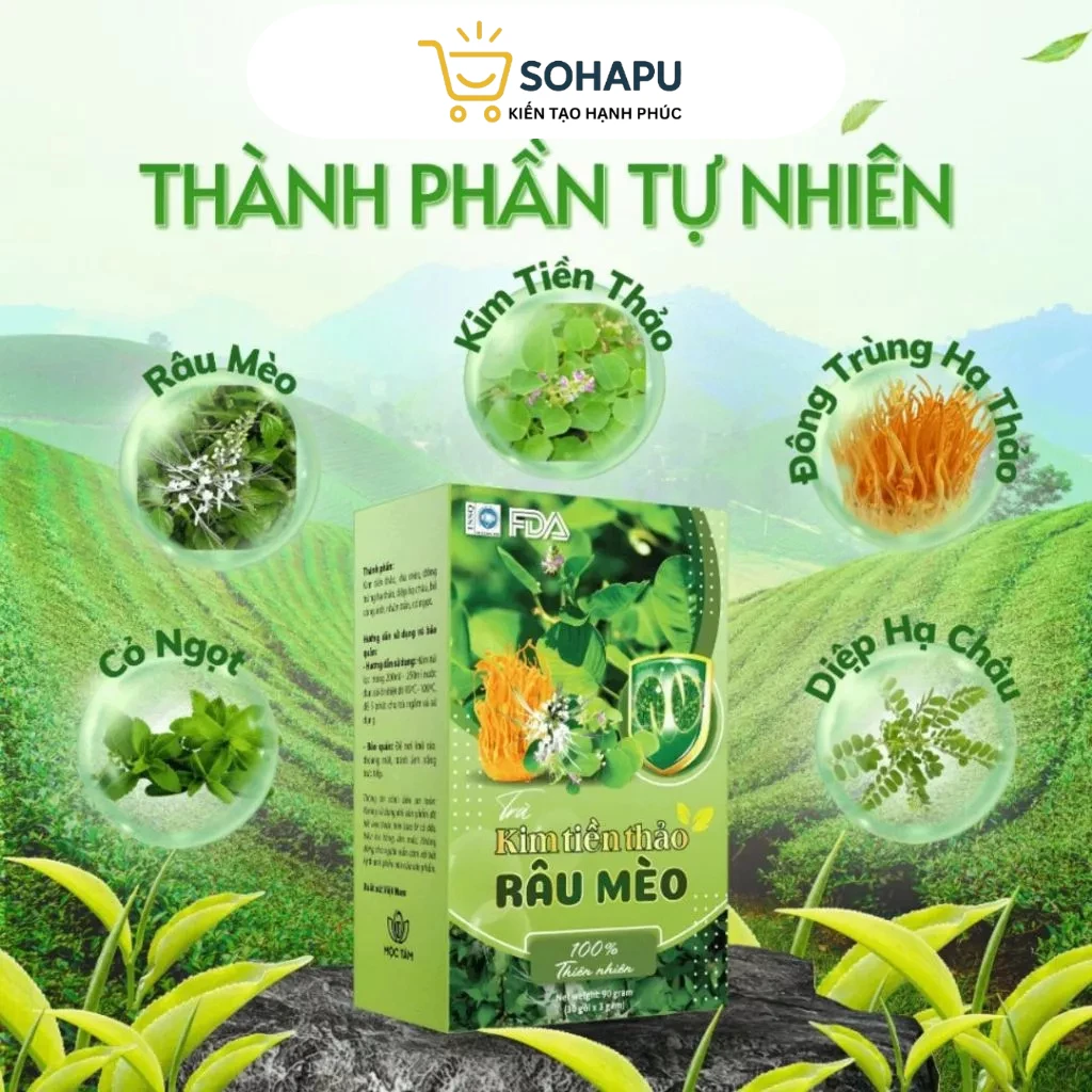 Trà Kim Tiền Thảo Râu Mèo